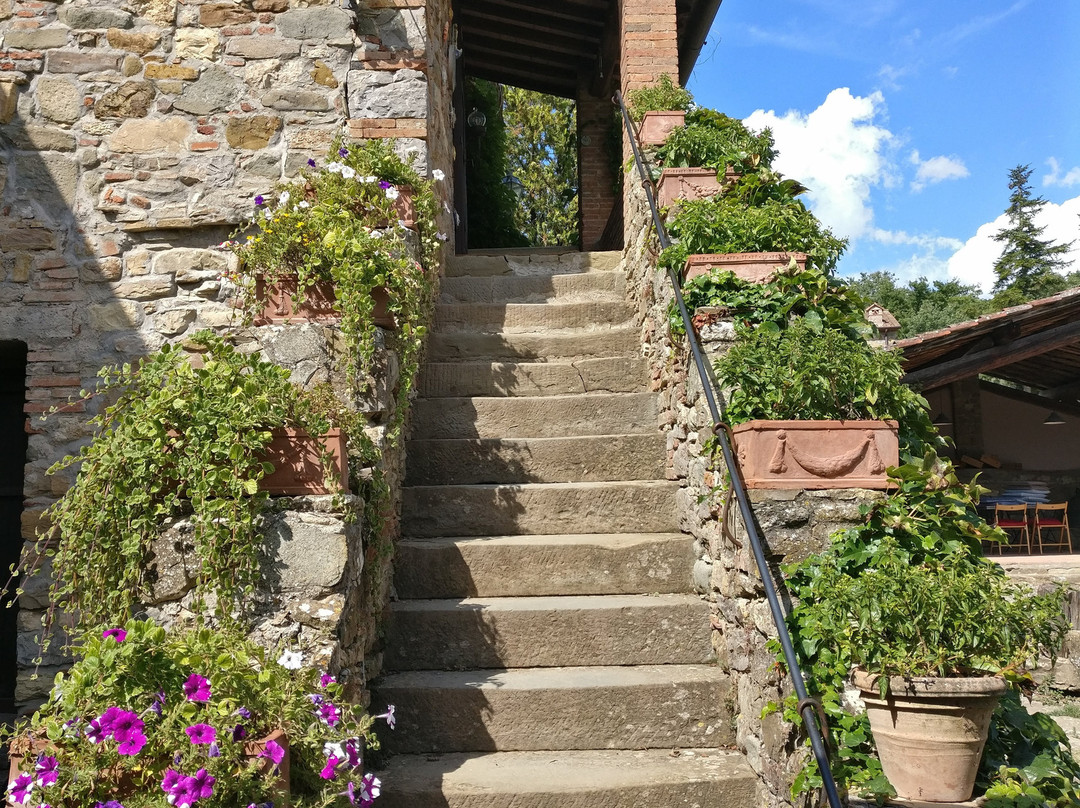 Podere Terreno Alla Via Della Volpaia主图