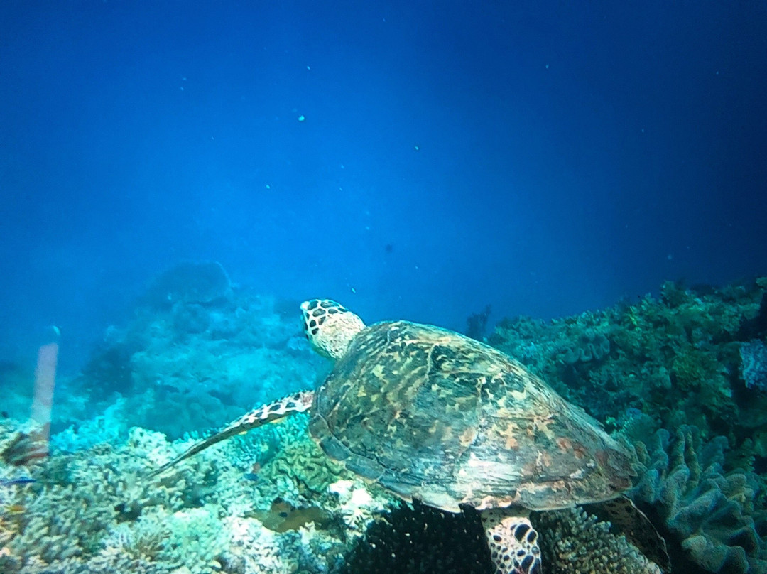 Friwen Island-Friwen必去景点