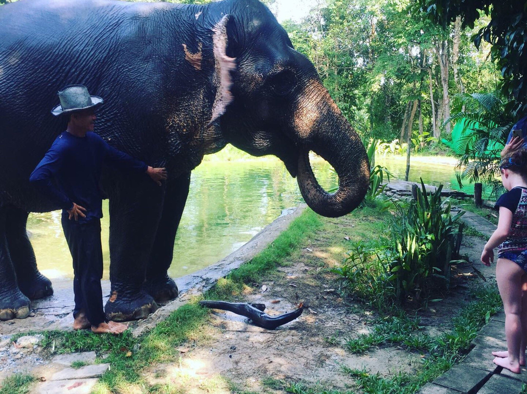 Tongdee Elephant Camp-Bang Muang必去景点