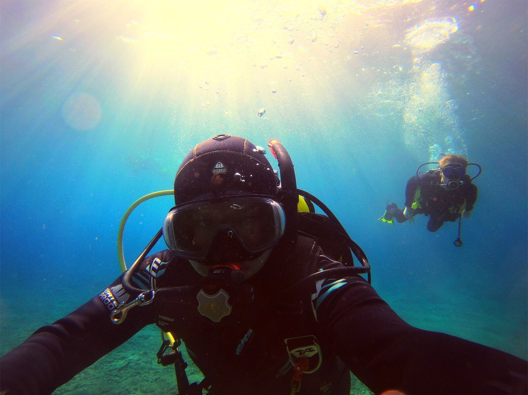 Dive With Me Athens-Artemida必去景点