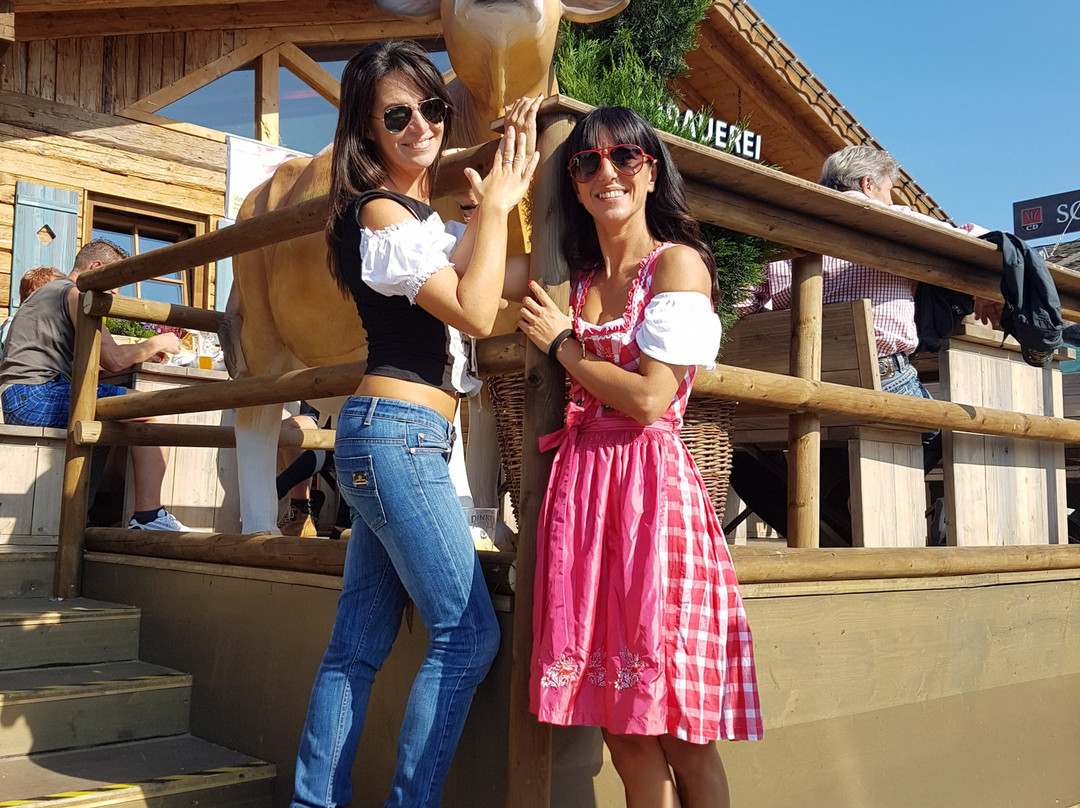 斯图加特啤酒节-斯图加特必去景点