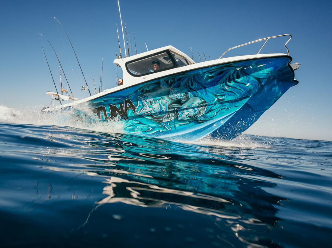 Captuna Fishing Charter & Tours-Cape Point必去景点