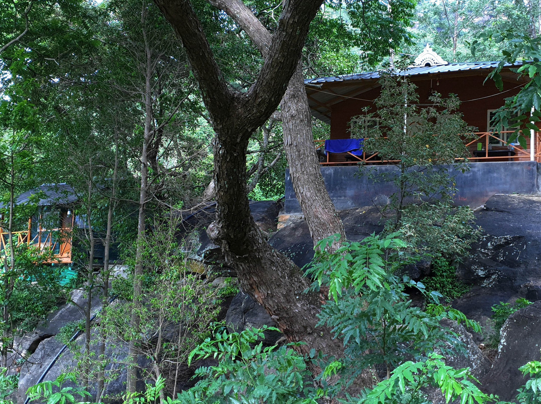 Hornbill Hideaway Jungle Resorts