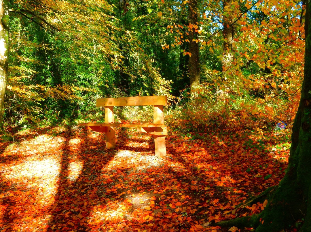 Deerpark Forest Walk-Virginia必去景点