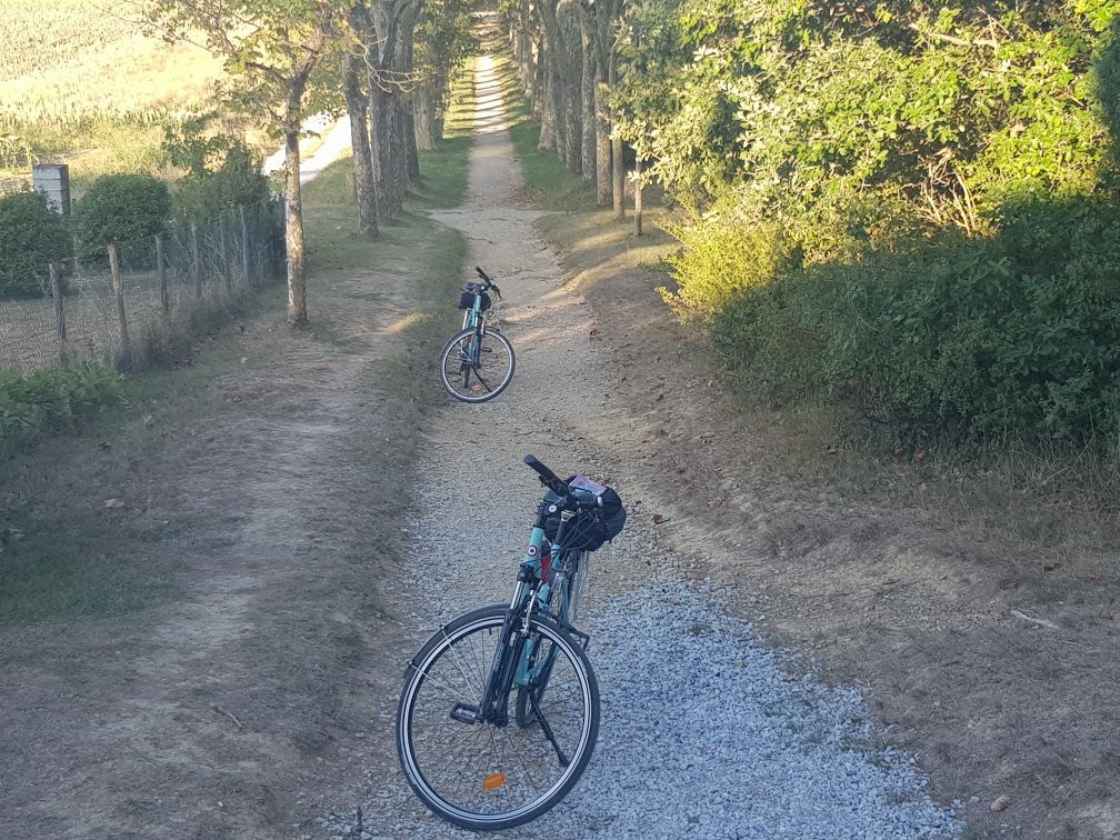 Paulette - Location de vélo-图卢兹必去景点