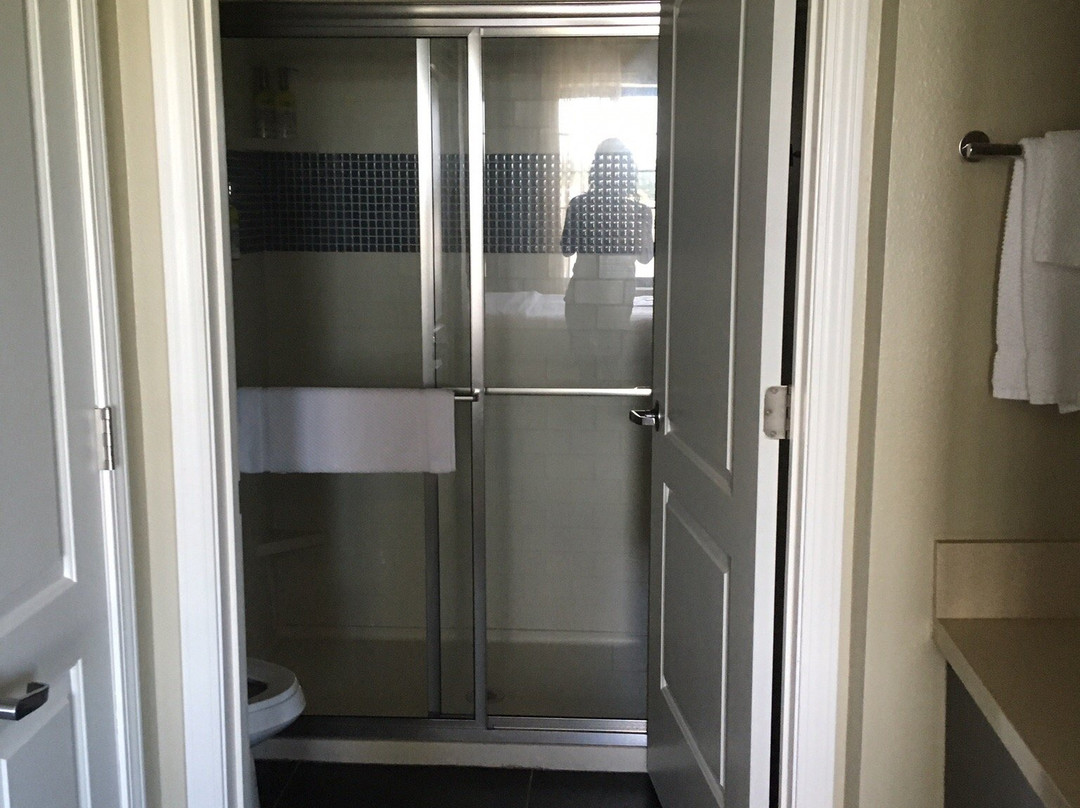 Staybridge Suites Ann Arbor - Univ of Michigan by IHG主图