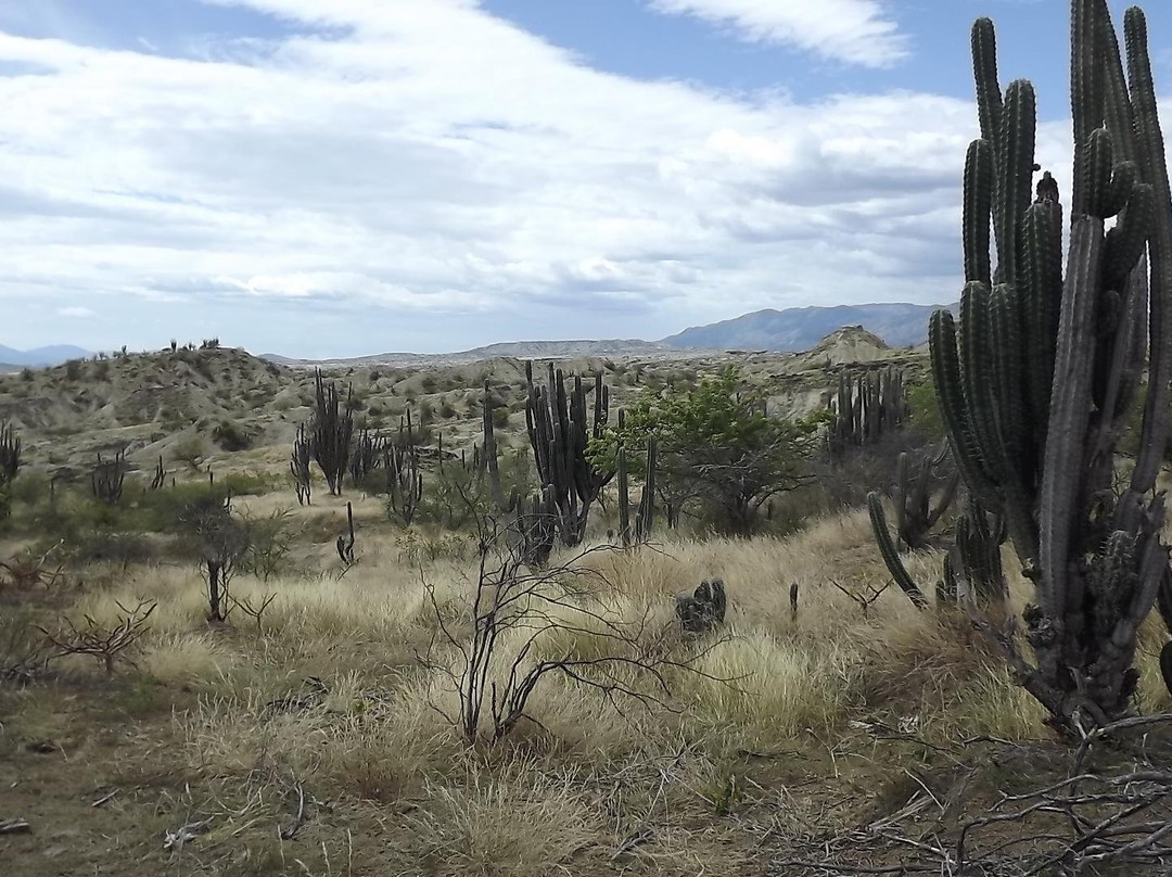 Tocayá Natura-Villavieja必去景点
