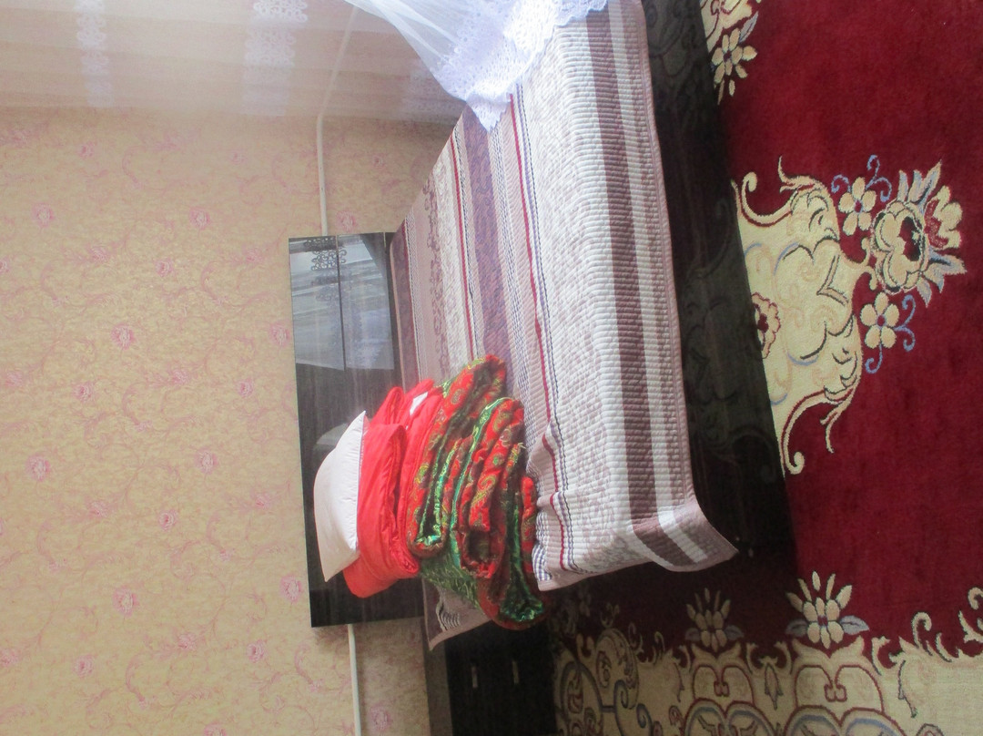 Saikal Guesthouse主图