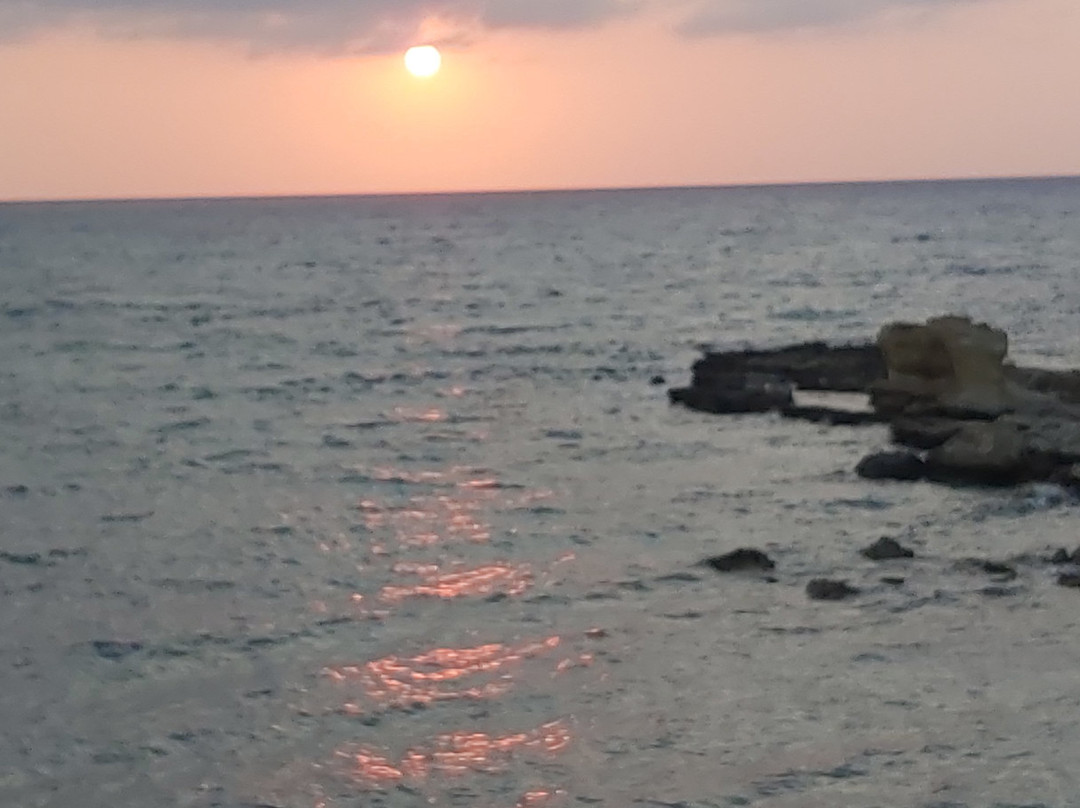 Oasis At Ayfilon主图