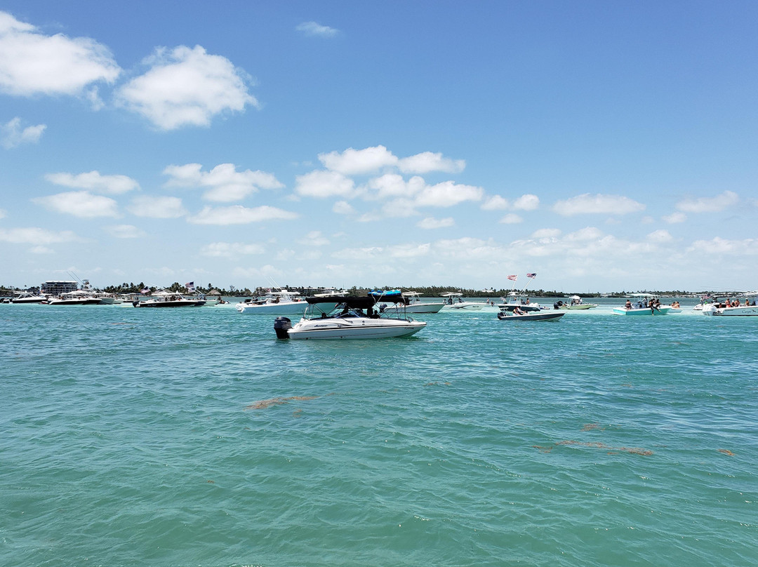 Elite Boat Rentals @ IslaMarina-伊斯拉摩拉达必去景点