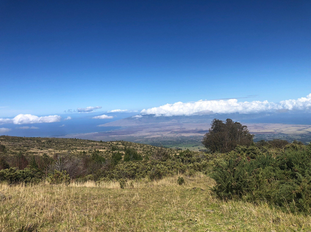 Maui's Best Downhill-海库必去景点