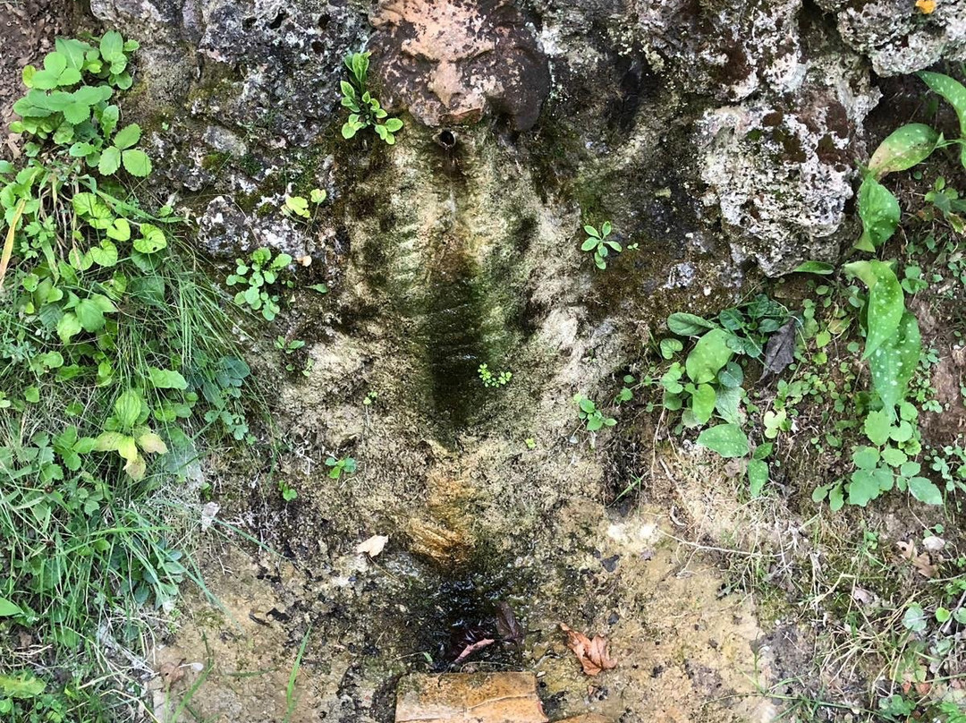 Eremo della Madonna del Faggio