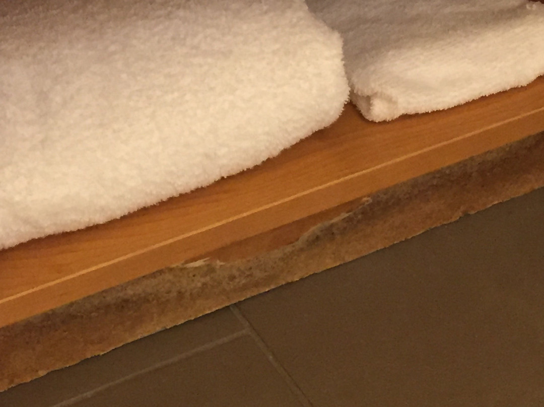 Comfort Suites Bossier City - Shreveport East主图