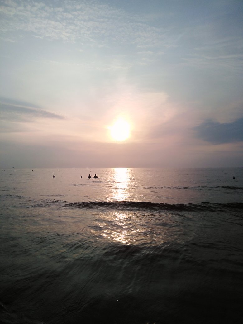 Sweetsea-官方