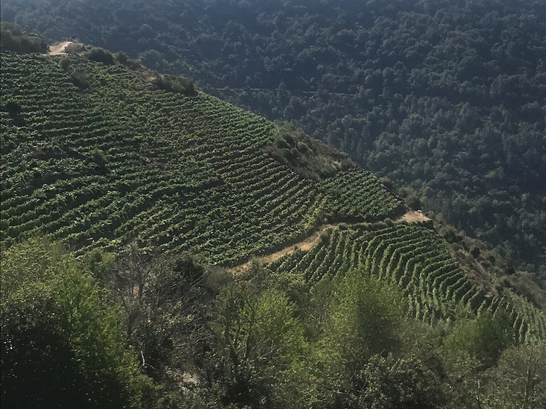 Tren Turistico Aba Sacra-Sober必去景点