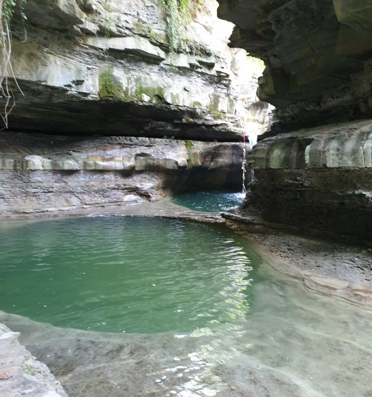 Centro Visita Premilcuore Parco Foreste Casentinesi景点图片