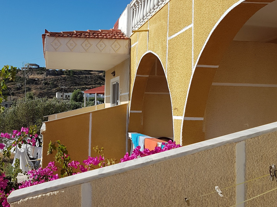 Irene Apartments主图