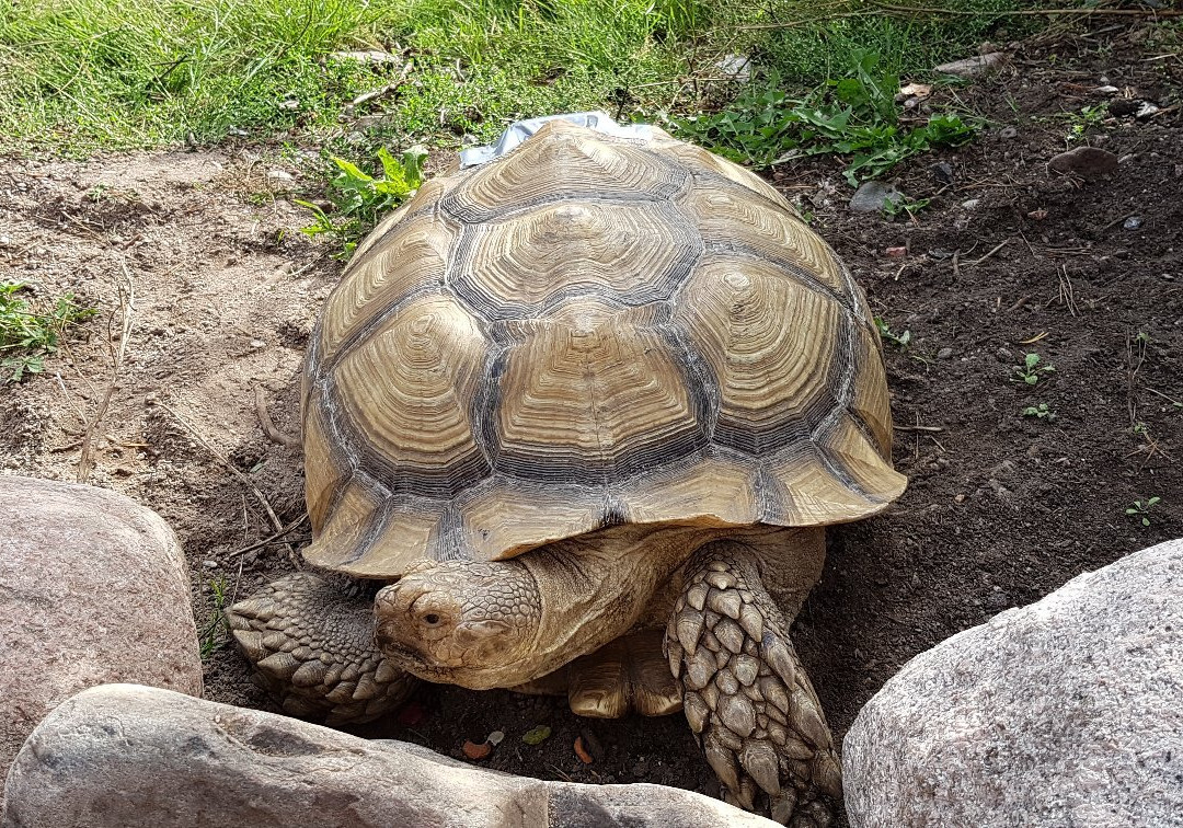 Lomamäki Petting Zoo-Inkoo必去景点