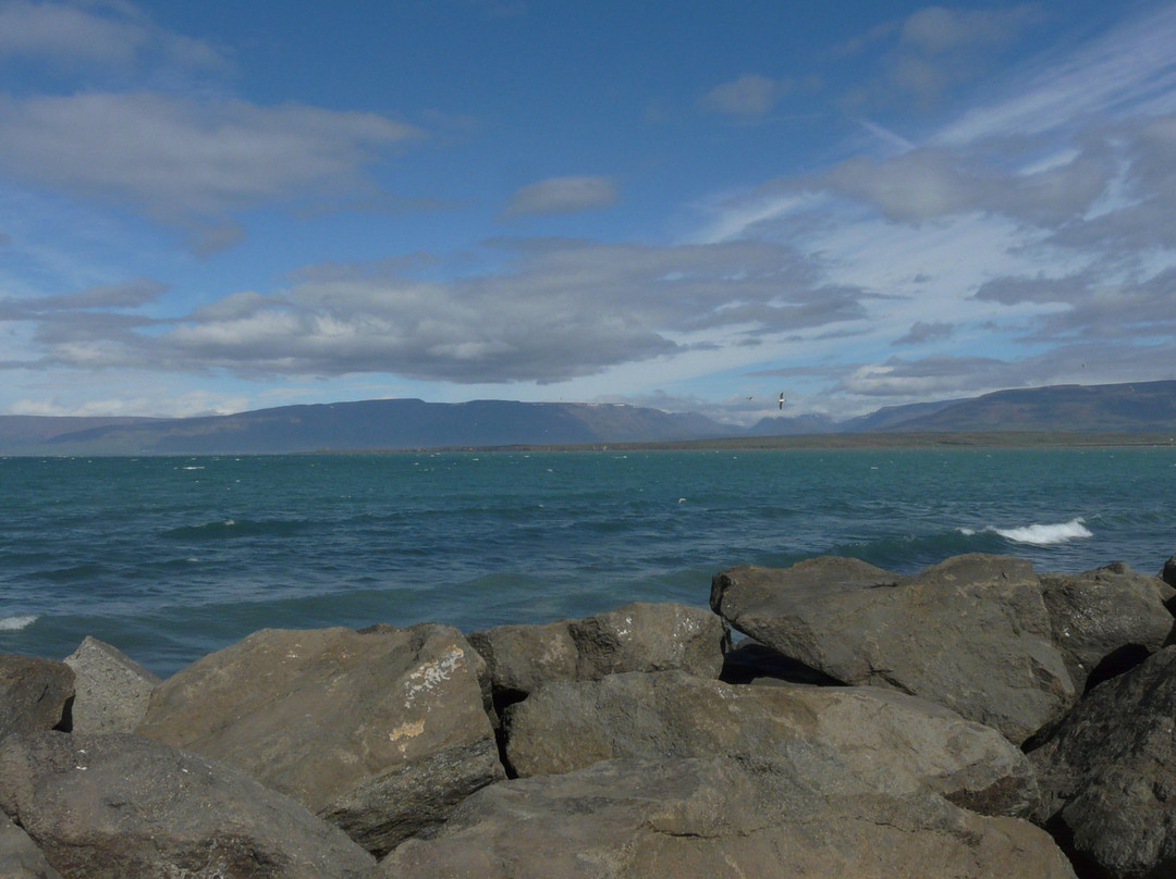 Hotel Mikligardur主图