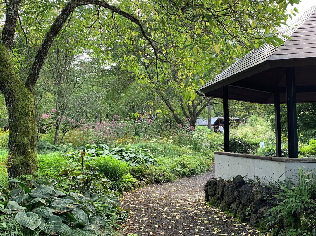 Karuizawa Picture Book Museum-轻井泽町必去景点