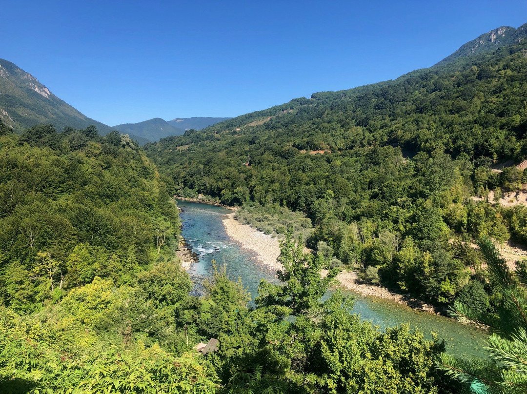 Blue River Tara主图