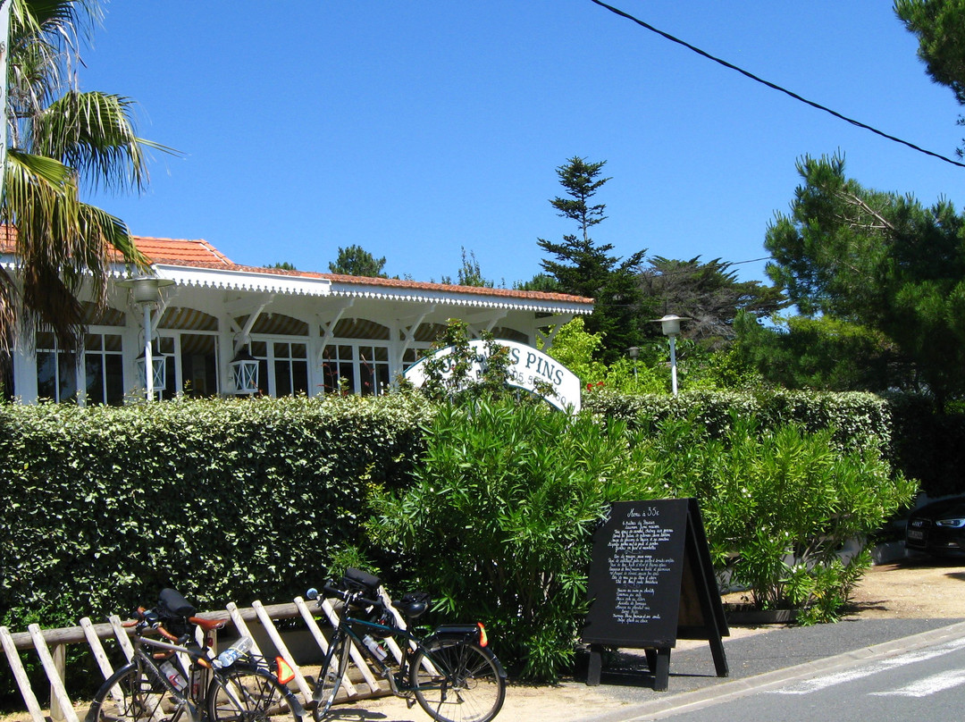 Hôtel Des Pins Cap Ferret主图
