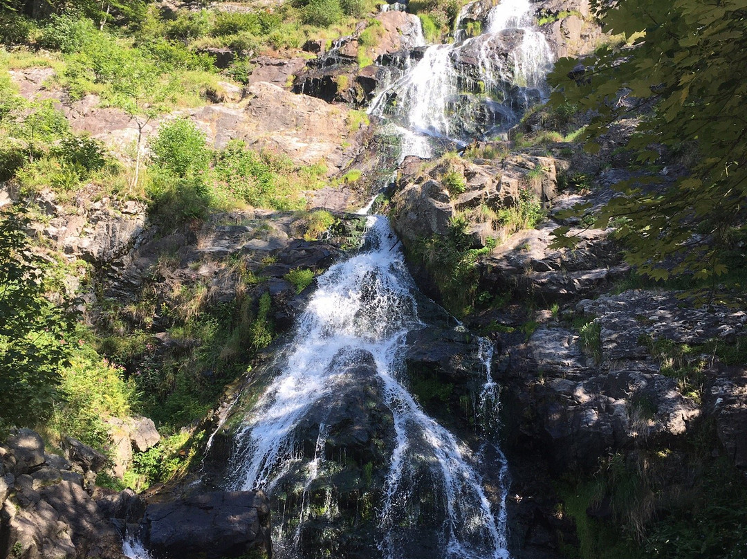 Todtnau Waterfalls景点图片