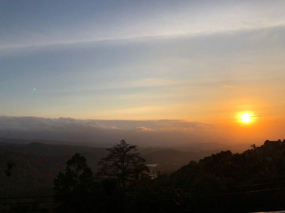 Aditya Homestay主图