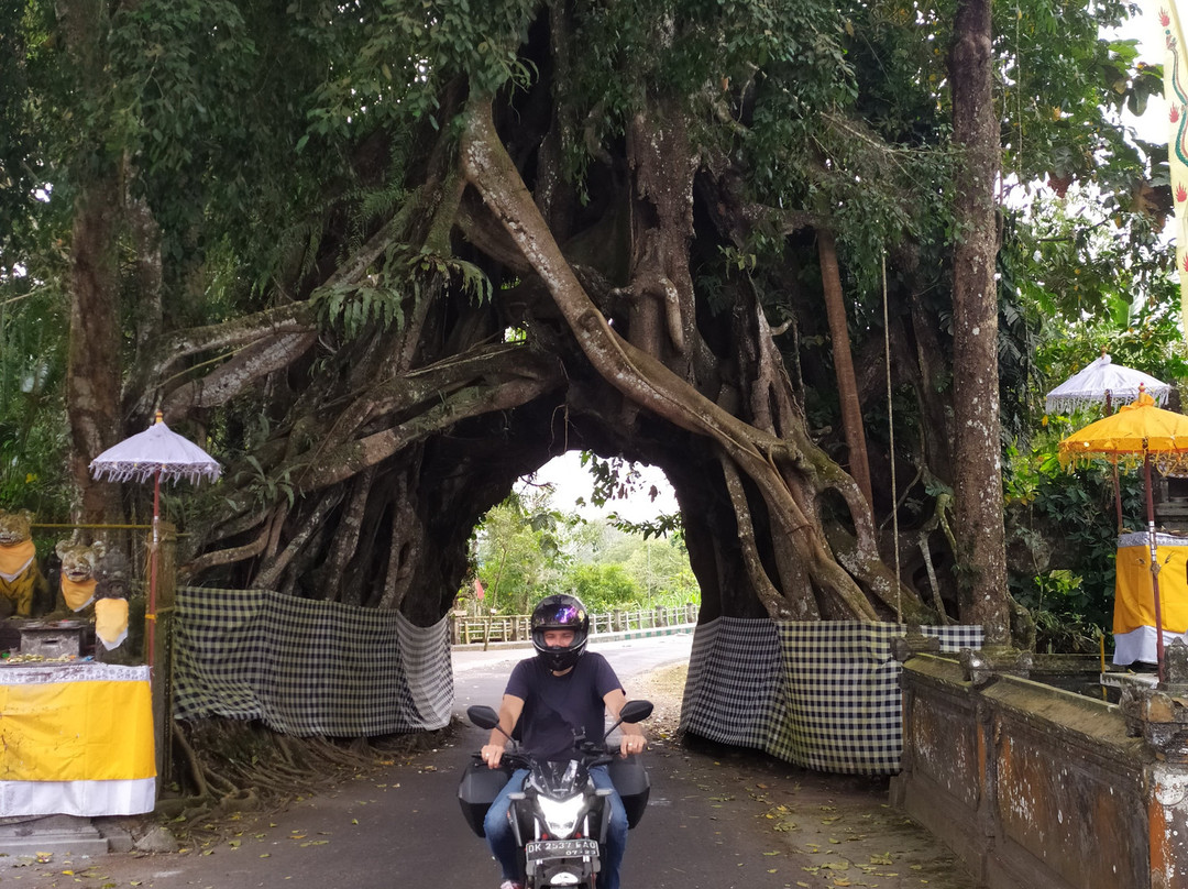 Motor Adventure Bali景点图片