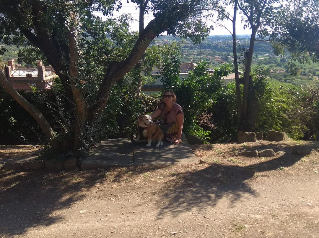 La Dolce Casetta B&B主图