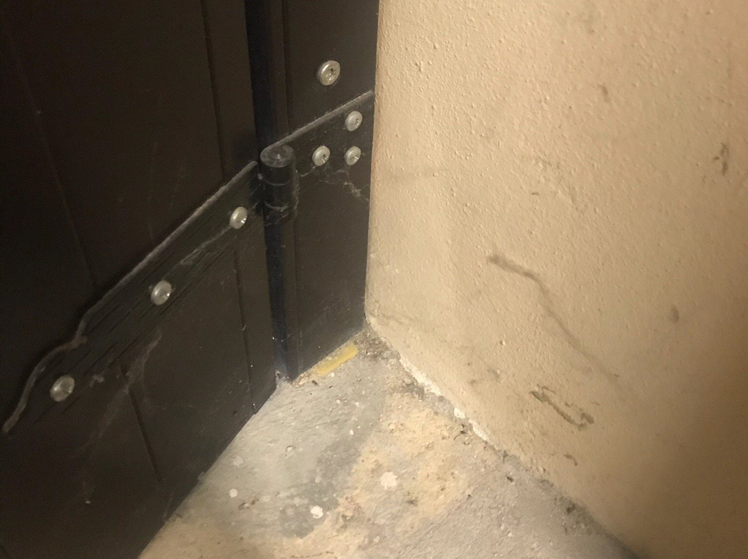 Destiny Hotel  Albergo Alla Pesa主图