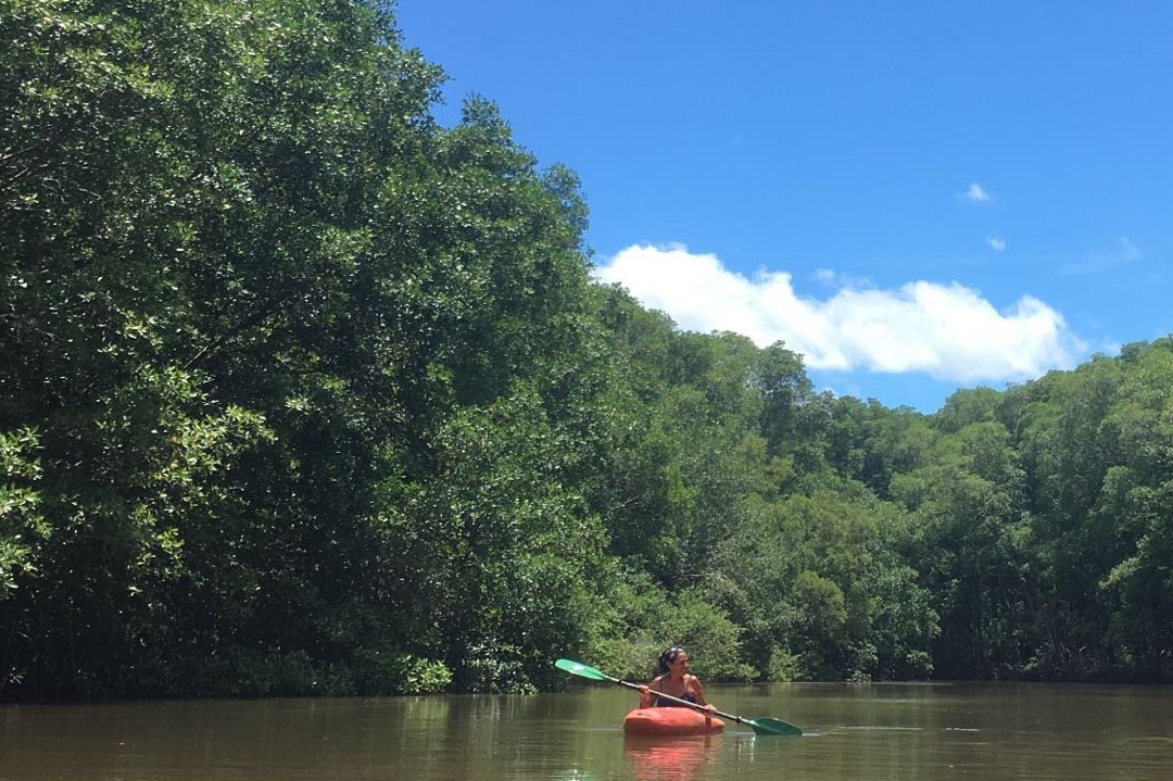 Castillo Divertido主图