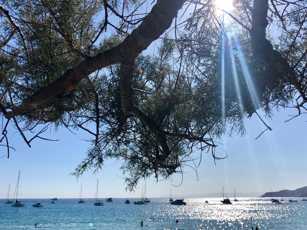 斯特拉马里斯酒店主图