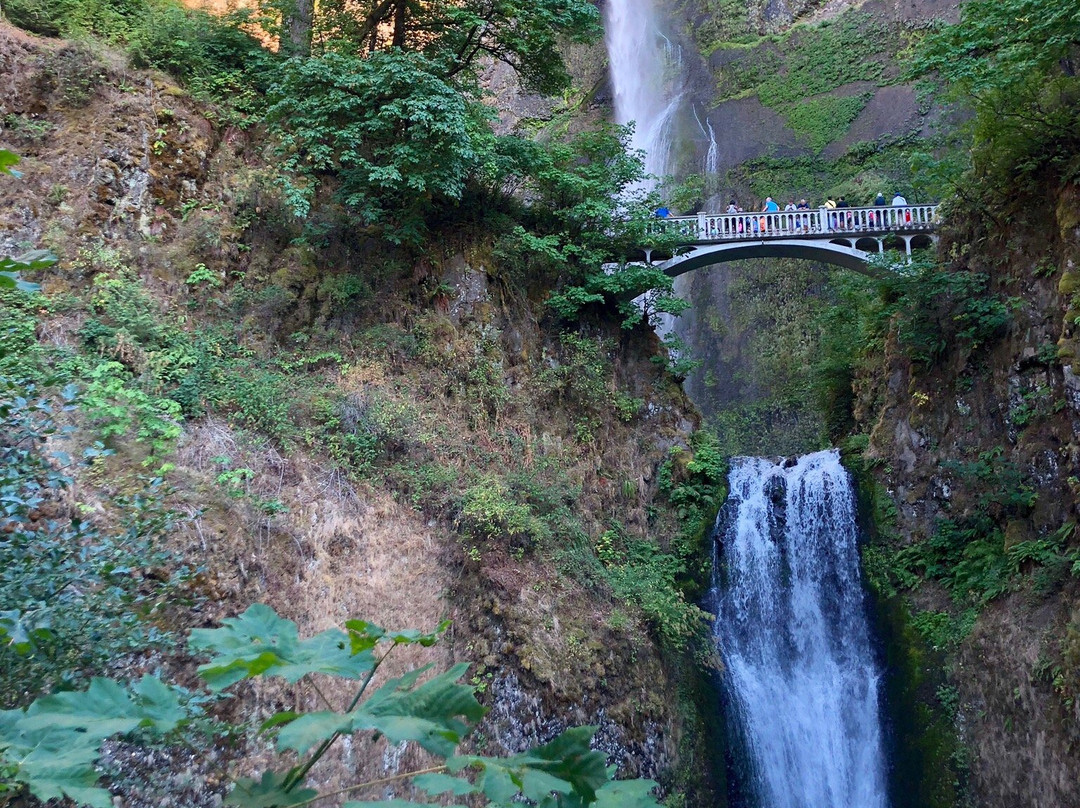 Historic Columbia River Highway State Trail景点图片