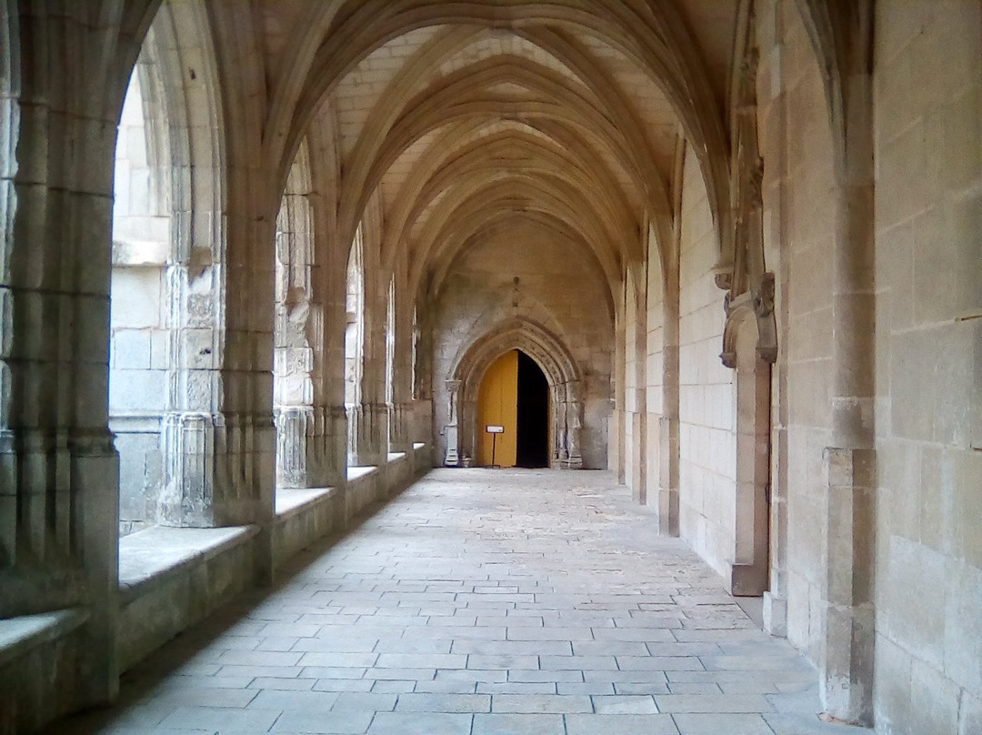 La Cathédrale Notre-Dame de l'Assomption景点图片