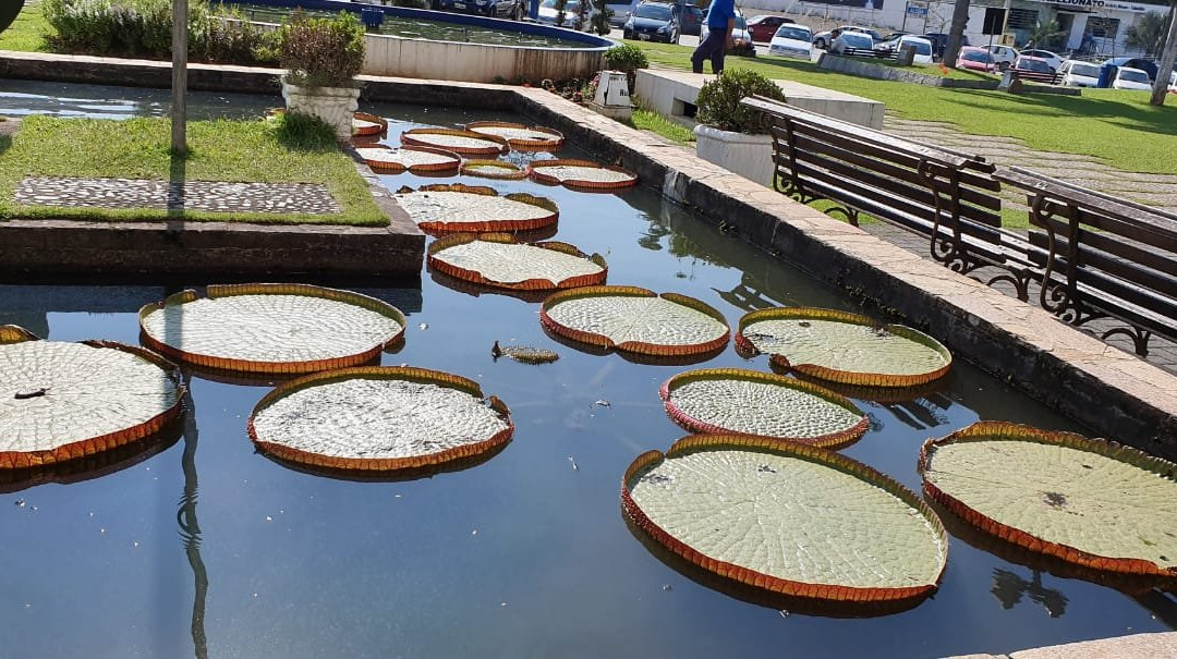 Praca Joao Hennings Filho-Indaial必去景点