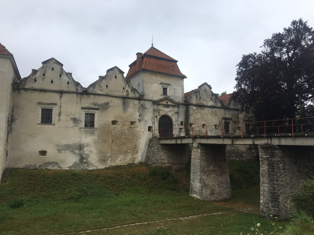 Svirzh Castle景点图片