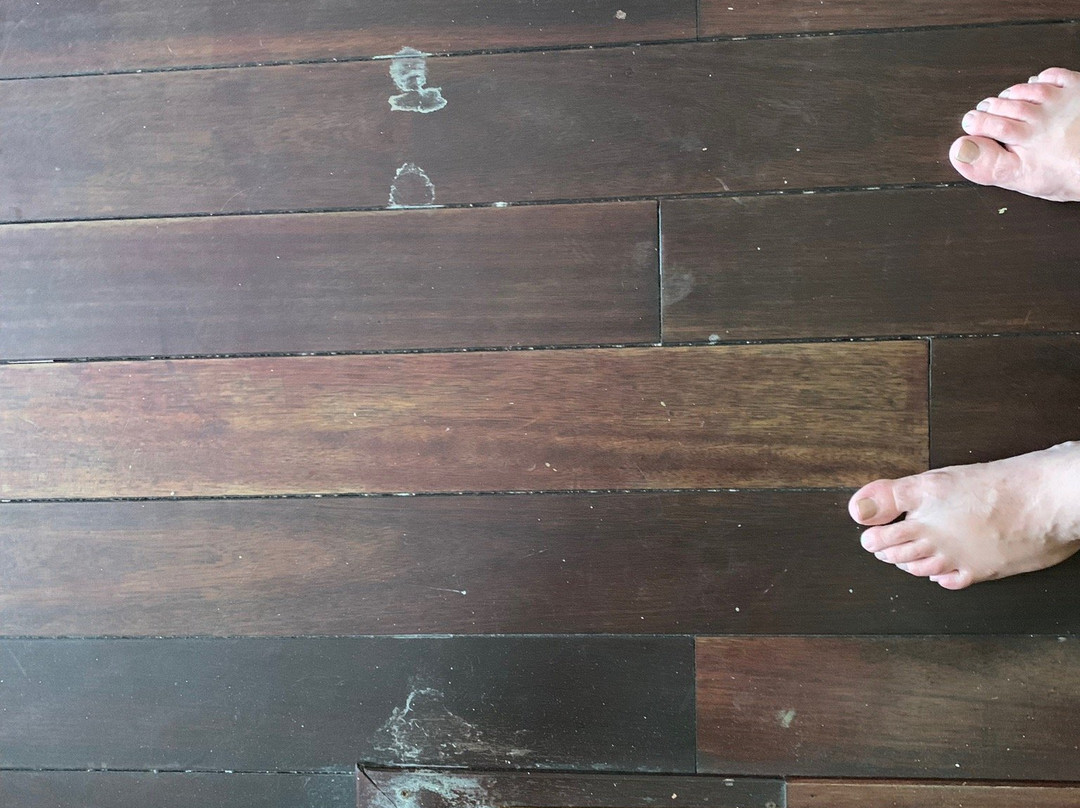 Hotel Krasnapolsky主图