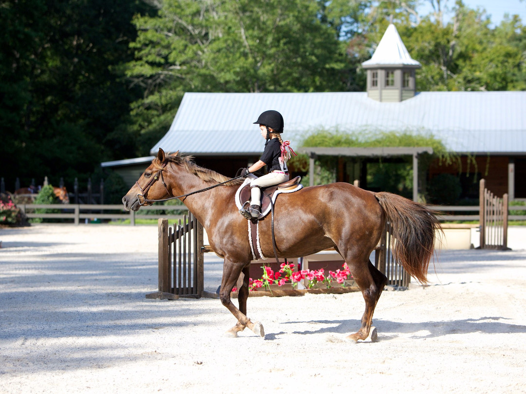 Windwood Equestrian景点图片