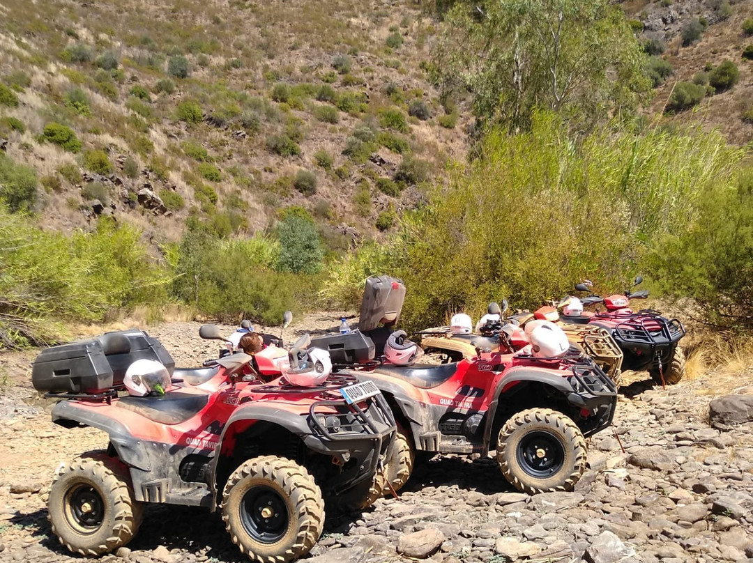 Quad Tavira景点图片