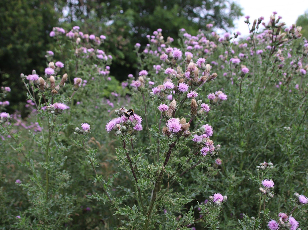 Fairways Loch Ness Golf Course-因弗内斯必去景点