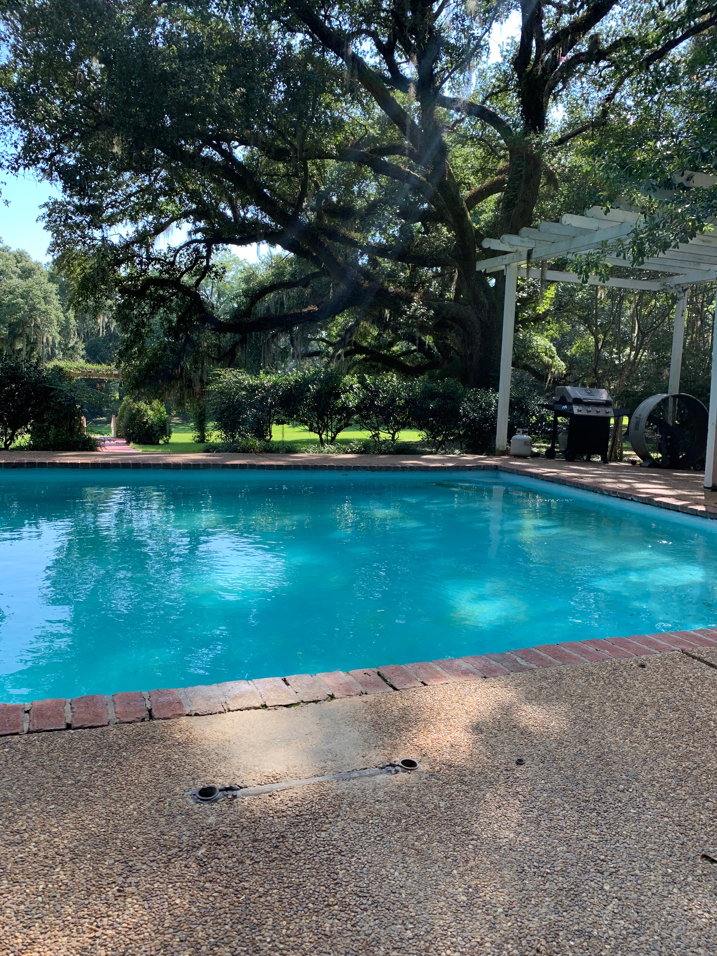 Desert Plantation-官方