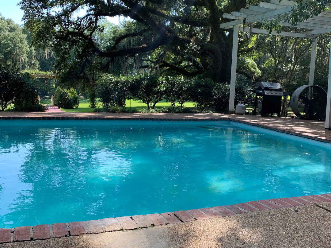 Desert Plantation主图