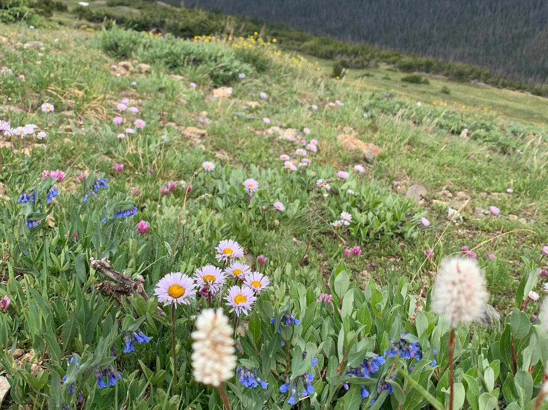 Ute Trail-落基山国家公园必去景点