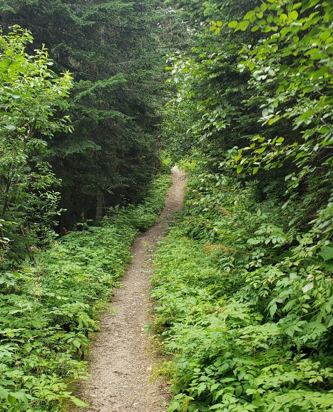 Falls Lake-Yale必去景点