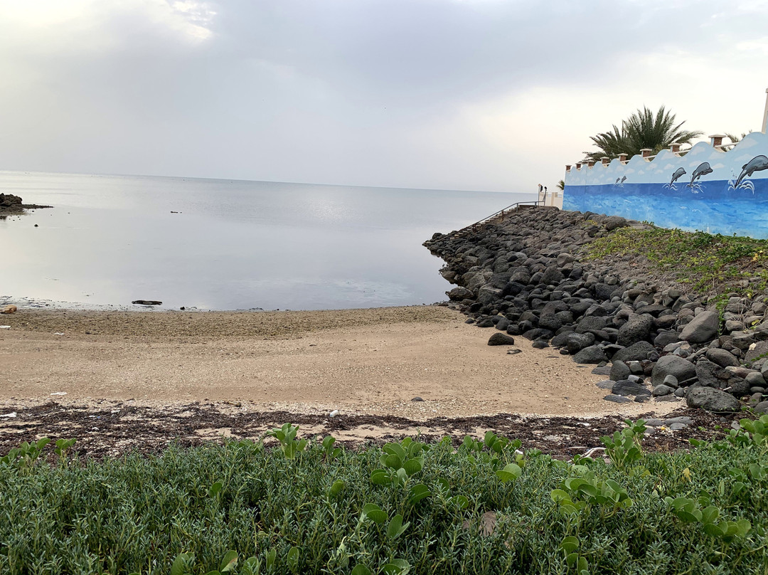 Les Acacias Hotel Djibouti主图