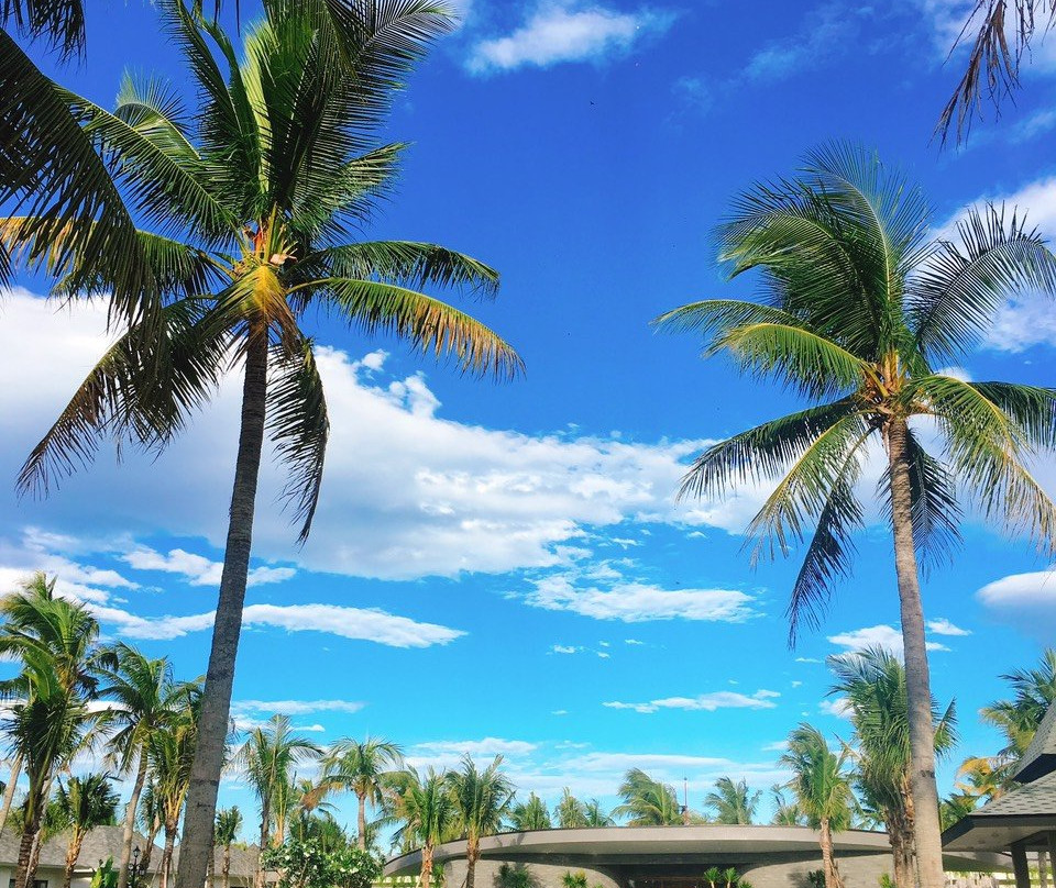 Cocoland Riverfront Resort & Wellness主图