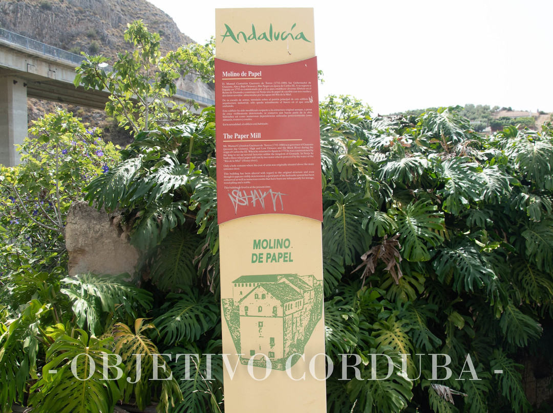 Playa del Molino de Papel-内尔哈必去景点