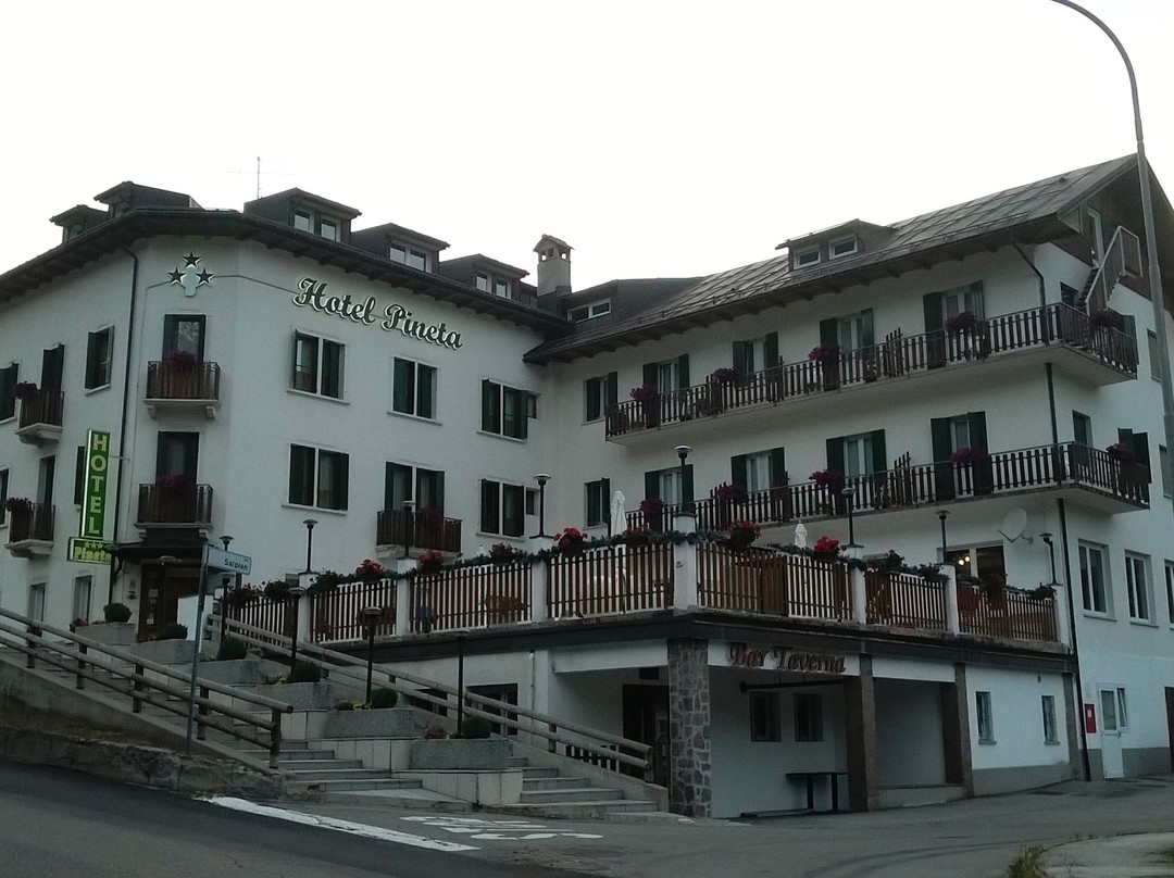Hotel Pineta主图