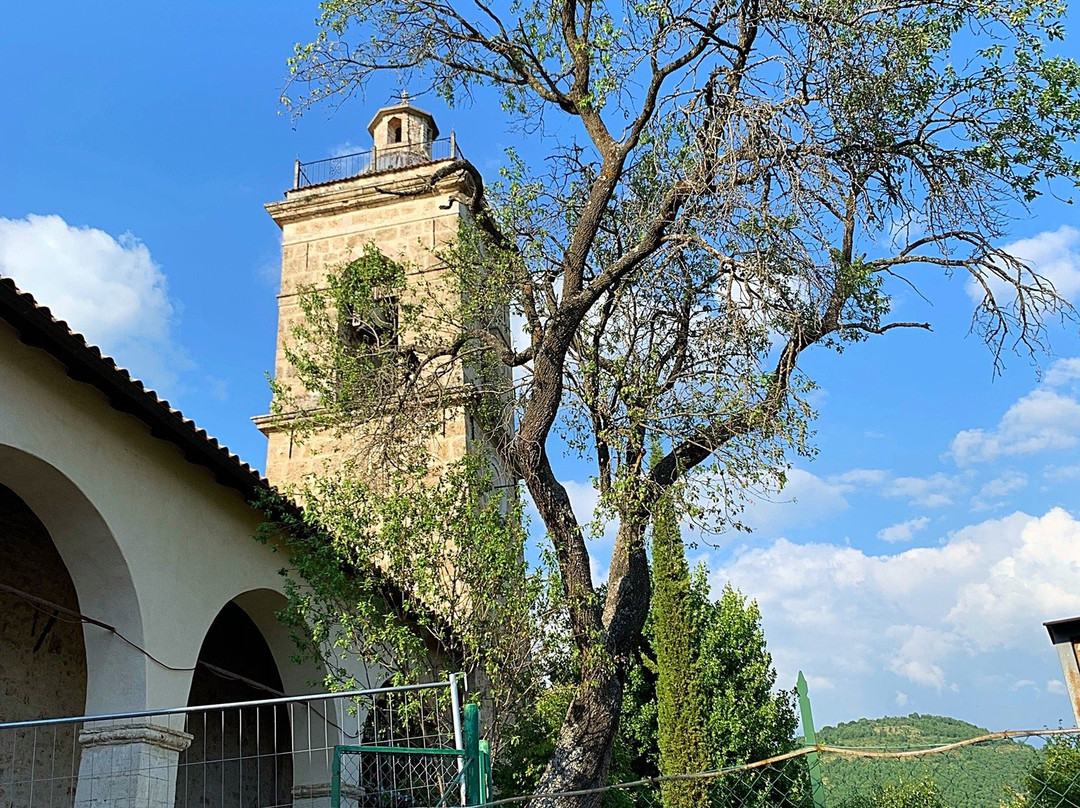 B&B Live Paradise主图